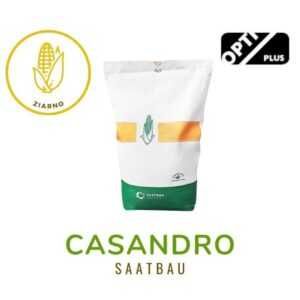 Nasiona kukurydzy - Casandro (Saatbau) – FAO 240-250 – 50 tys. nasion