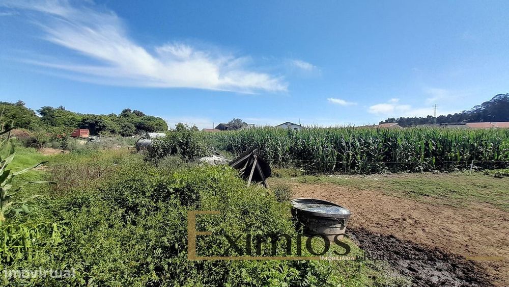 Quinta com 19.600m², situada na Maia