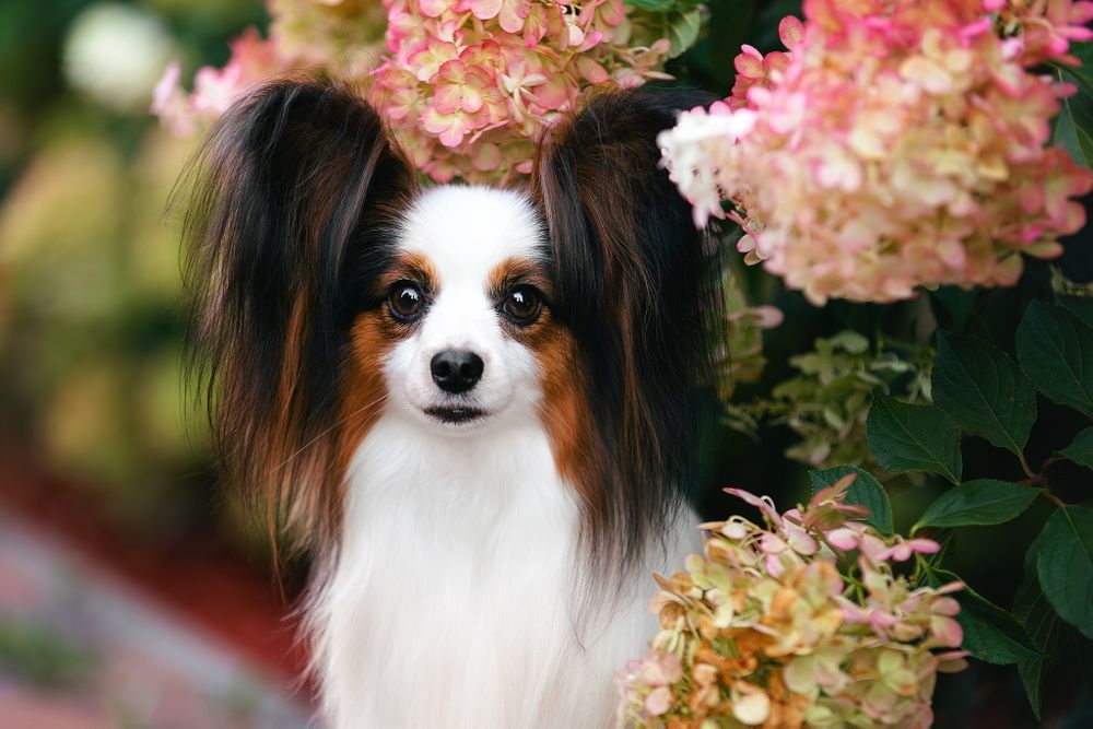 Файна дівчинка, є відео