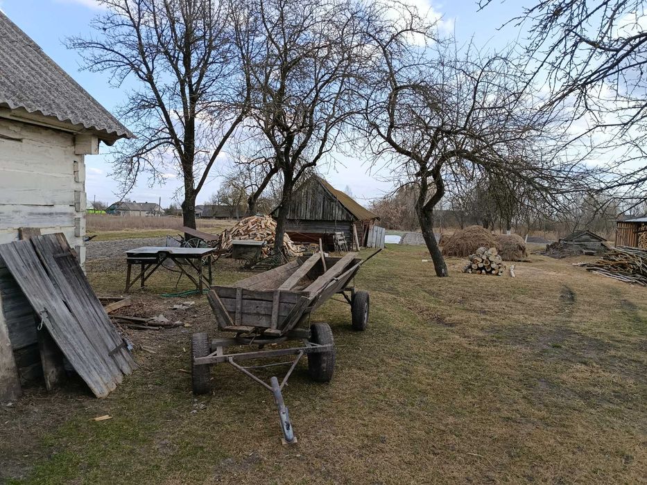 Земельна ділянка