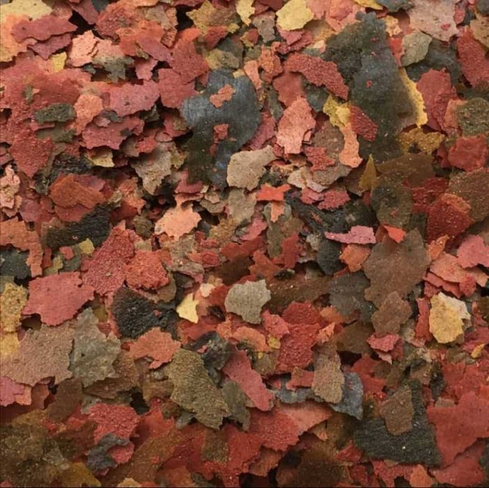 Amtra pro flake 'alimentação para peixes tropicais'