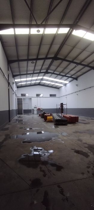 Serviço de pintura profissional