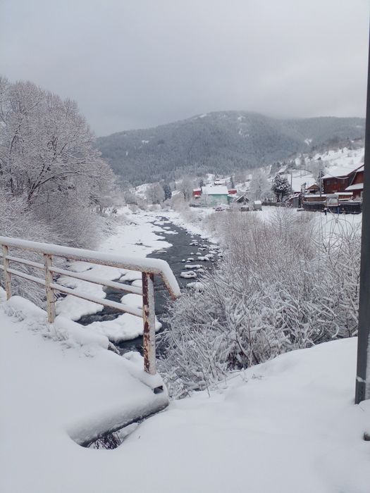 Здається котедж на три окремі номери