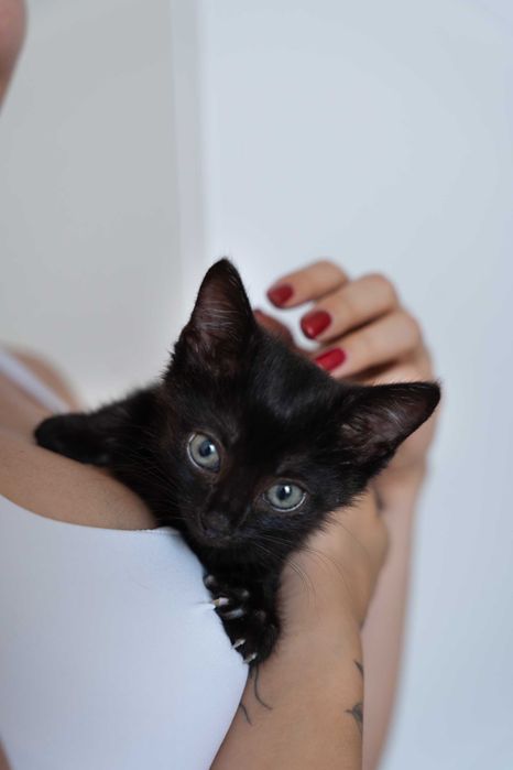 Kokosik i Śliweczka do adopcji