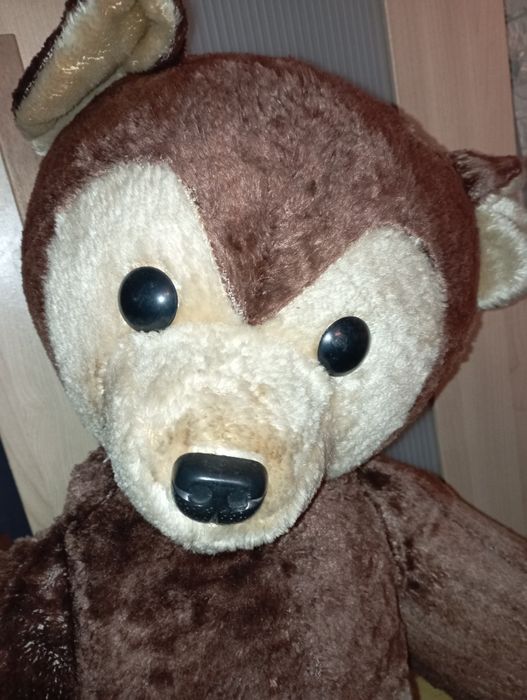 Miś trociniak PRL ,