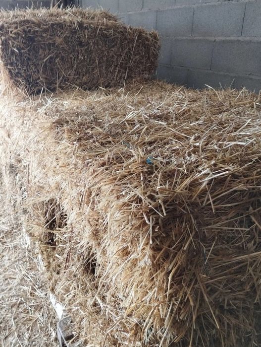 Fardos Feno de Azevém