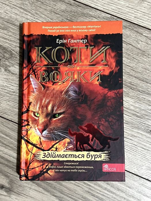 Książki ukraińskie. Коти вояки