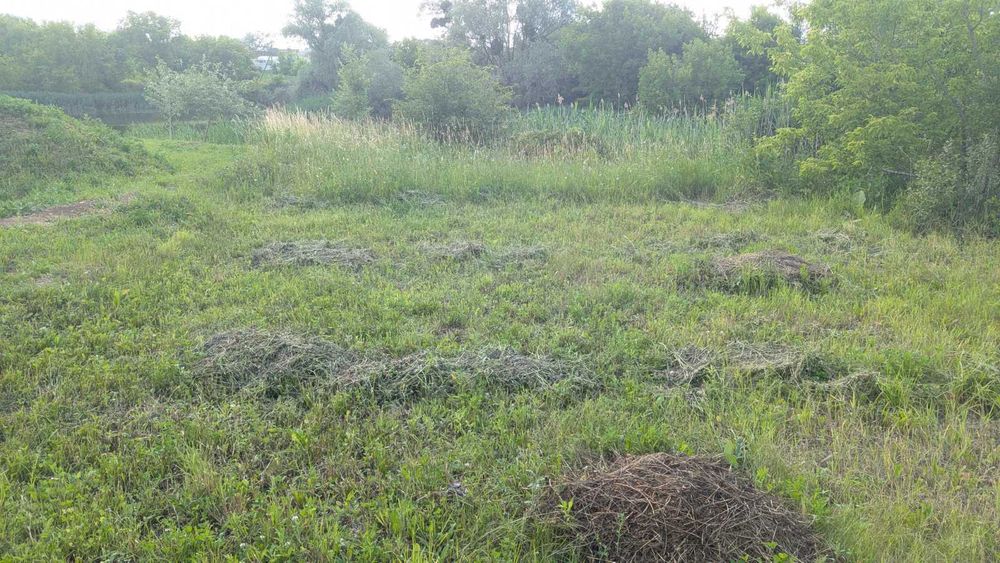 Продам земельну ділянку з виходом до ставка, с. Шмиглі, Щербанівська ОТГ