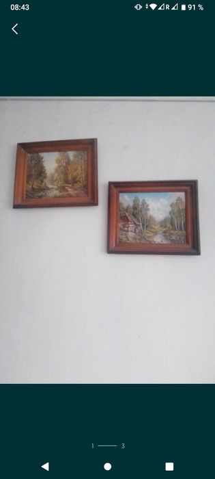 Картина 2 штуки дерево рама
