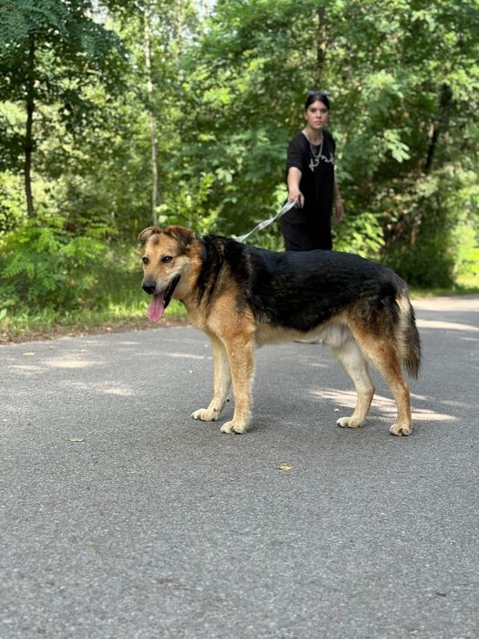 Najwspanialszy Ege szuka domu!