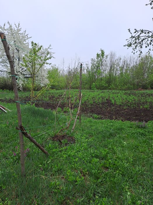 Продам будинок з пічним опаленням