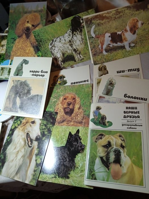 Фотоальбом " Декоративные собаки " 1991 год , 26 штук.