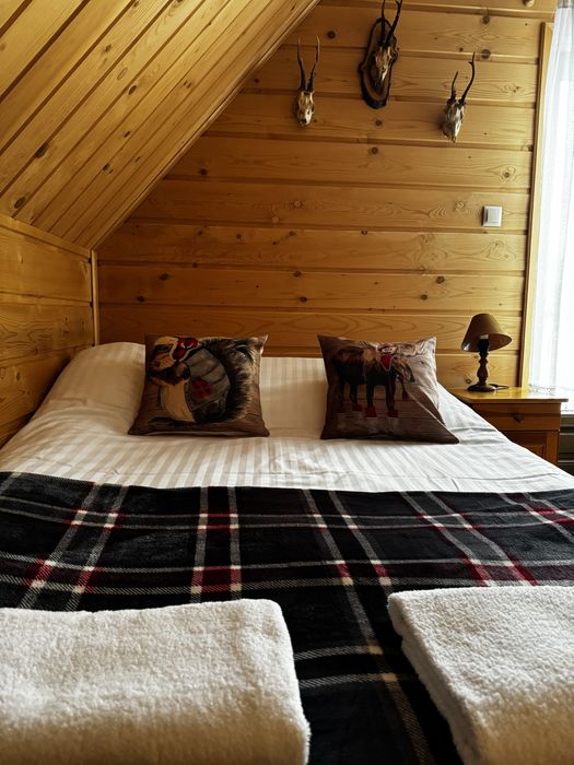 Domek Przy Potoku Murzasichle, domek w górach