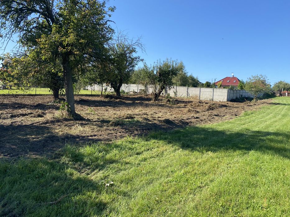 MULCZOWANIE MULCZER oczyszczanie terenu z trawy samosiejek drzew pni