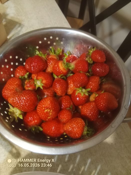 Truskawki maliny