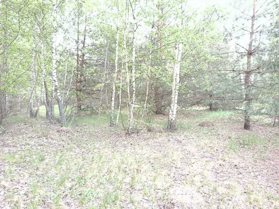 Продам  15-сот під забудову село.Сінгури р-н новобудов
