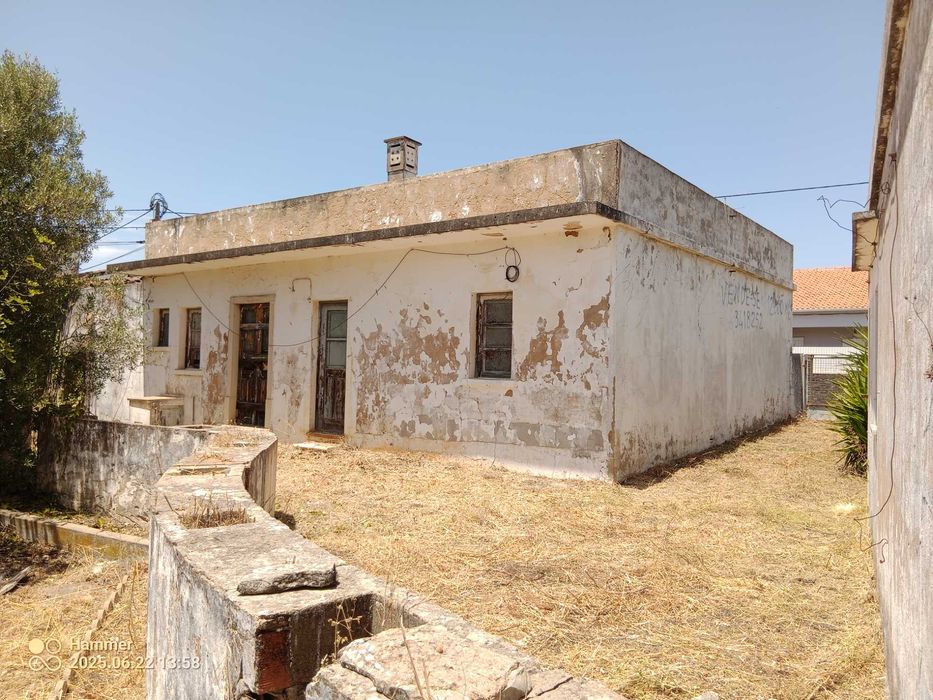 Serviços agrícolas e entre outros