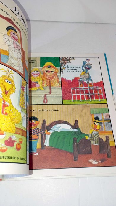 Quem sou eu? Livro da Rua Sésamo