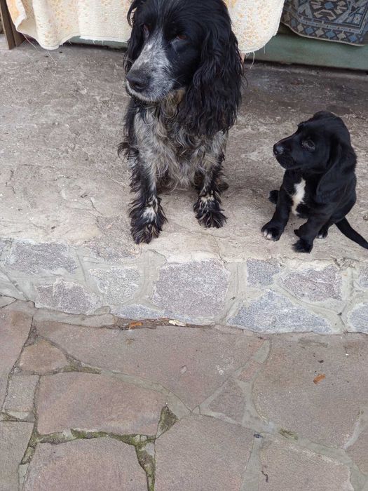 Дівчинка красуня три місяці