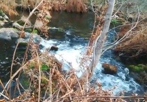 Terreno Douro troco por carro