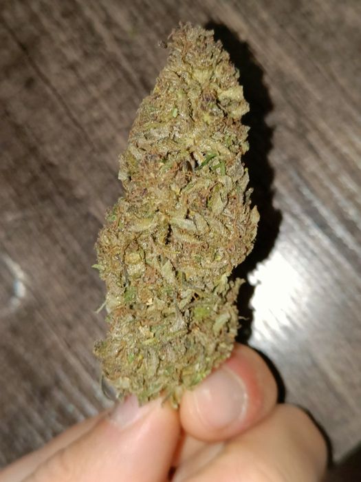 Susz CBD-V Victory 20 g