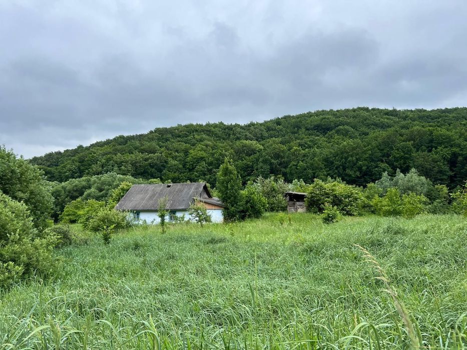 Продаж Гектару землі за вигідною ціною!