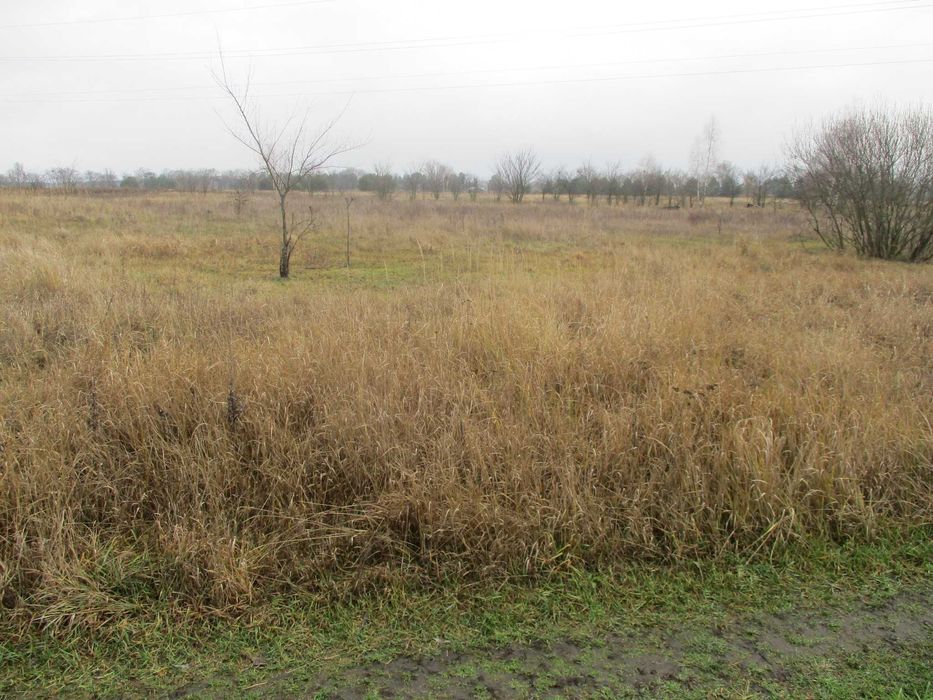 Продаж земельної ділянки 21 сот. Київська обл., с.Жукин      8500$