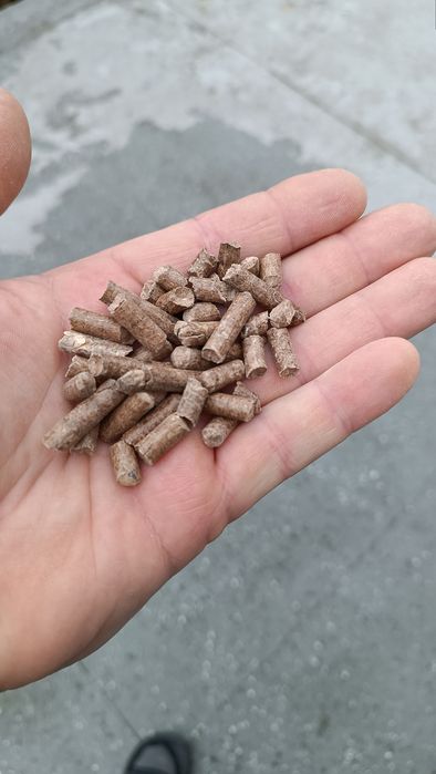Pellet A2 6 mm pelet twardy mieszany 1005 kg