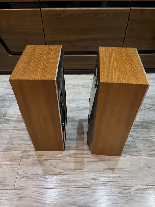 Bang olufsen beovox S45