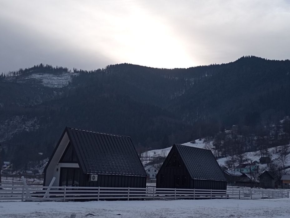 Оренда будинку в Карпатах