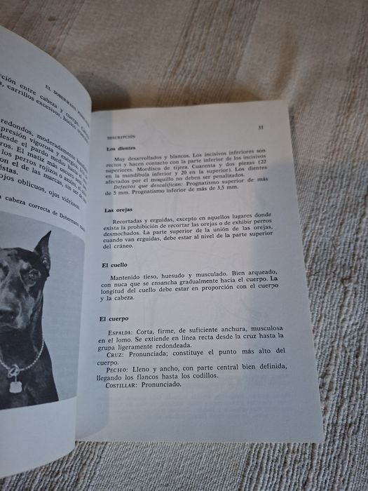 Todo sobre ele Dobermann Pinscher livro espanhol