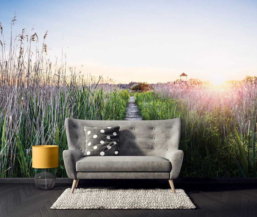 Fototapeta Trawa Plaża Natura Słońce 3D Na Twój Własny Rozmiar + KLEJ