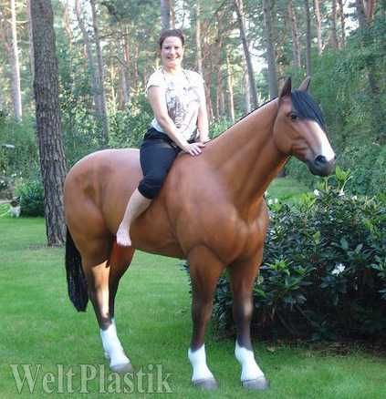 Figura Kon 190x250cm waga 70kg