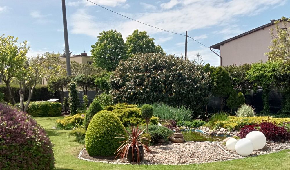 wycinka/ przycinanie/porządki/koszenie//przekopanie/trawniki i inne