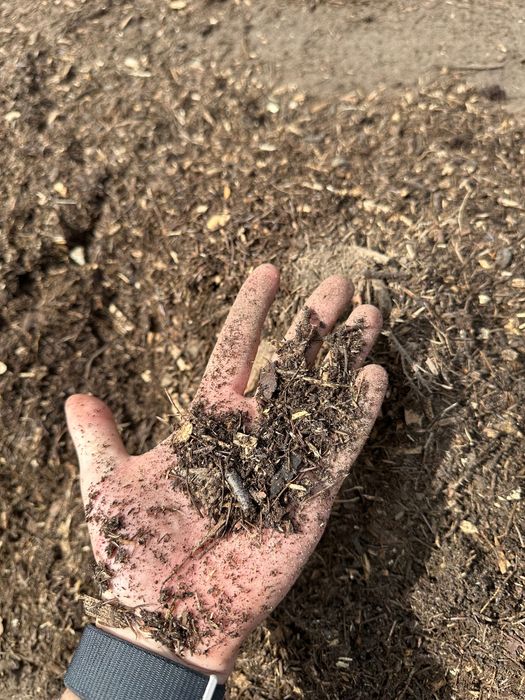 Torf Litewski do Borówki torf kwaśny luz ruchoma podłoga Borówka berry