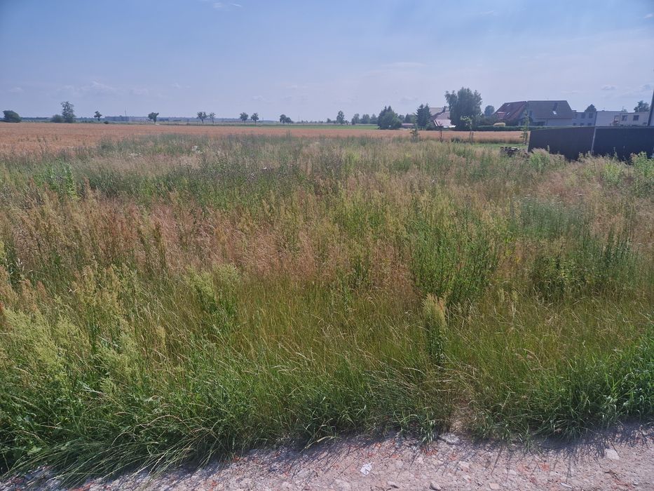 Działka Strykowo