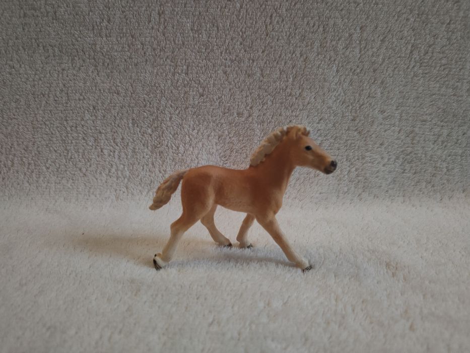 rodzina rasy haflinger schleich