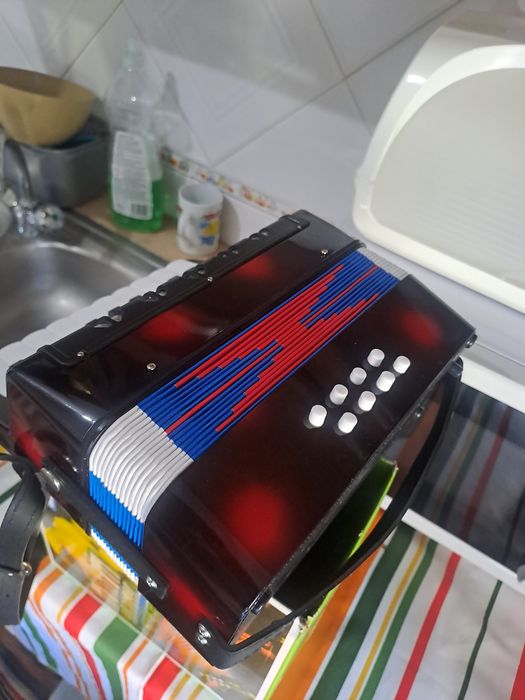 Acordeon criança