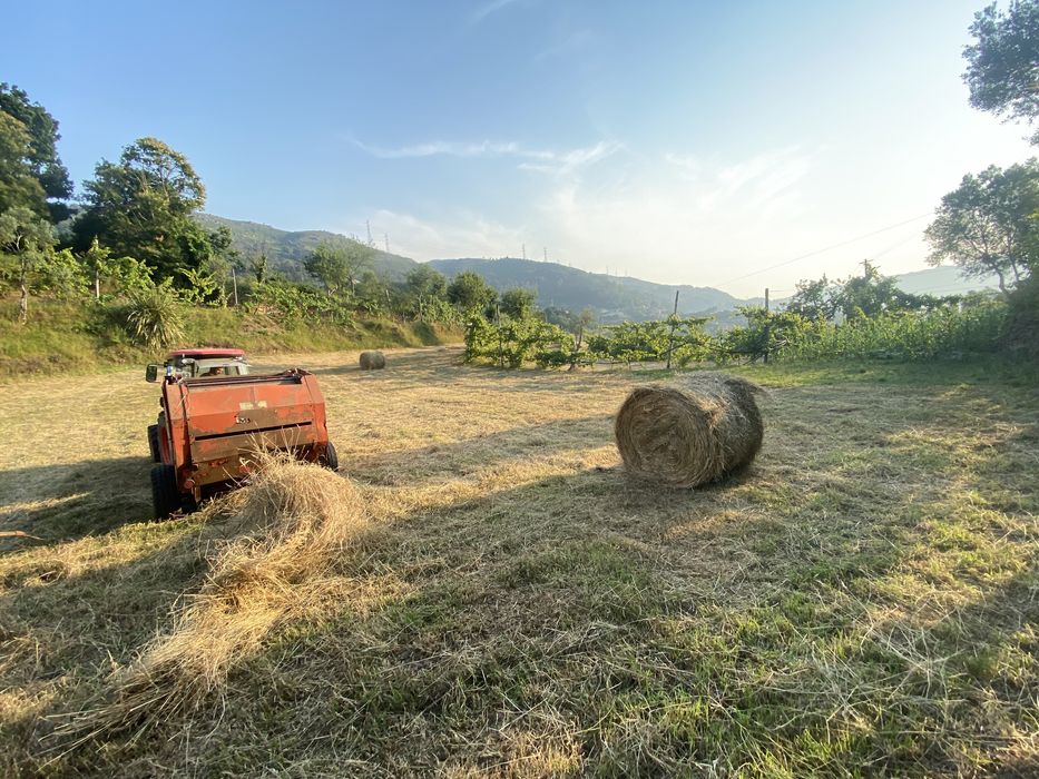 Rolos de feno ou fardos