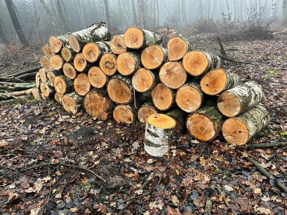 Sprzedaż Drewna Opałowego/Kominkowego (układane) (porąbane) (Na raz 4M