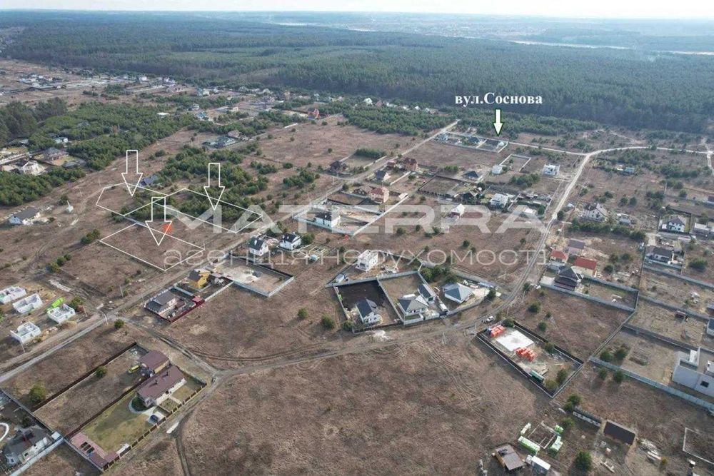 Бобриця Продаж ділянок по 25 соток з молодими соснами
