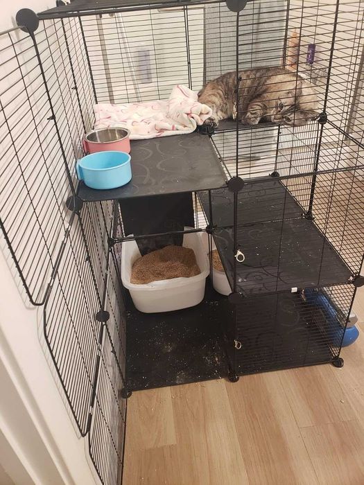 Klatka Woliera dla Gryzoni Szczurów Szynszyli 104cm NOWA Wybieg Kojec