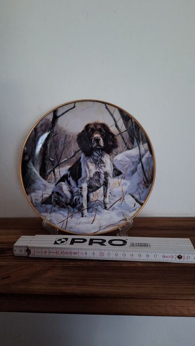 Ozdobny talerz springiel spaniel angielski