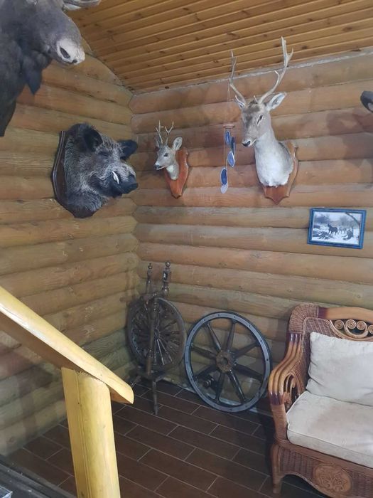 Загородный дом, сруб, баня, бильярд, рыбалка, река, лес