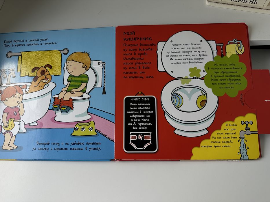 Книга «Мое тело», для малышей