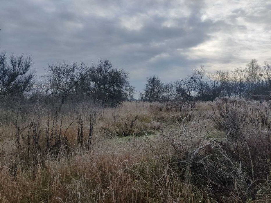 Будинок, с. Копилів, Макарівський р-н.