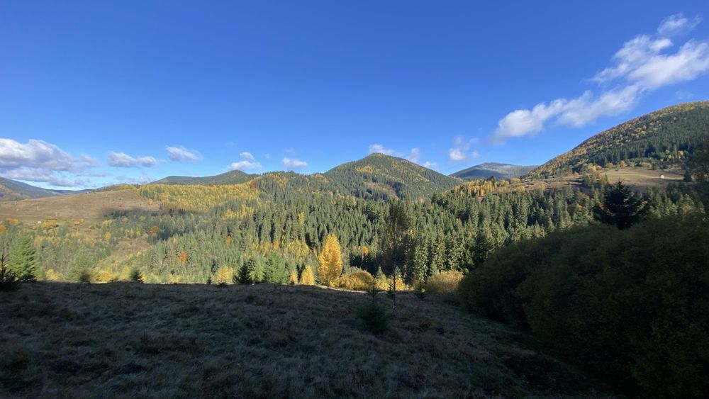 Земля під будову, межує з лісом, гарний доїзд