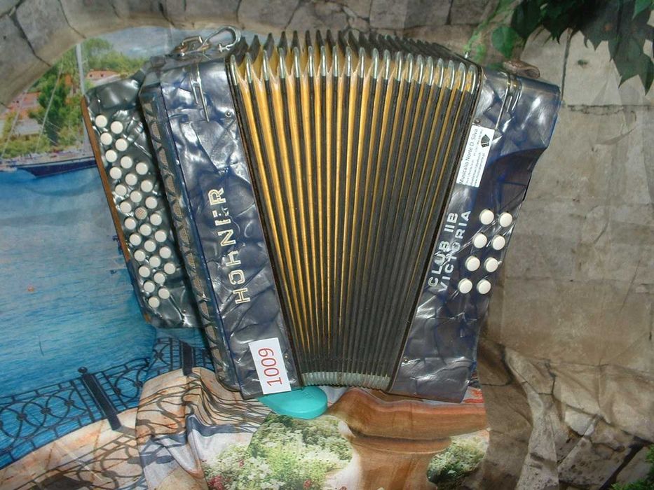 Promoção de Acordeões de concertinas