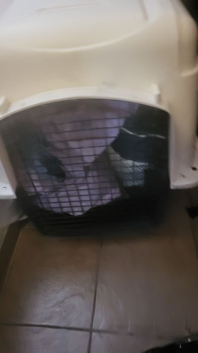 Duży transporter dla psa