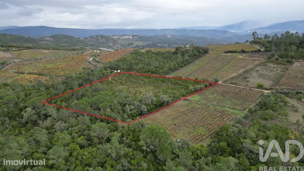 Agricultural Land in Condeixa-a-Velha and Condeixa-a-Nova